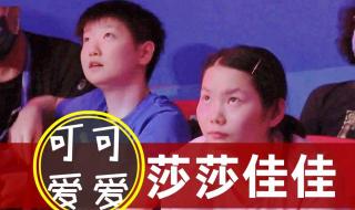 张继科评价孙颖莎球技